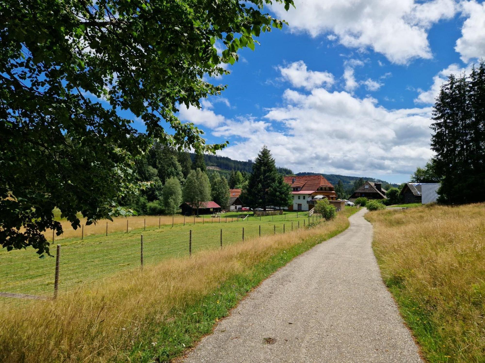 Altes Zollhuesli Schluchsee Exterior foto